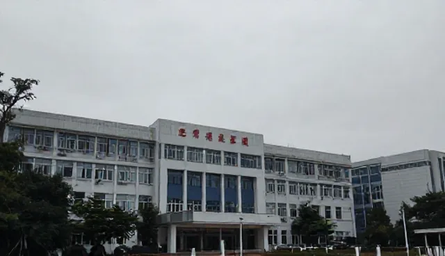规范诊疗中选型建议：两种做法的对比与实际取舍