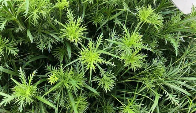 门诊服务如何通过健康管理提升患者体验？